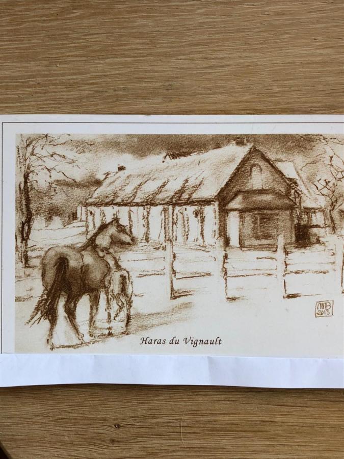 Haras Du Vignault Le Bucher Salbris Exterior photo