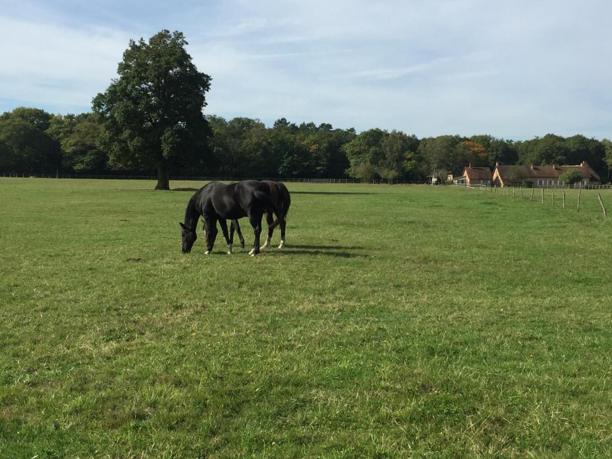 Haras Du Vignault Le Bucher Salbris Exterior photo