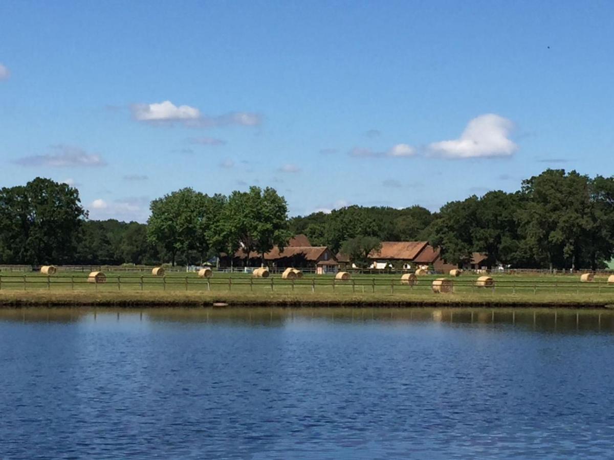 Haras Du Vignault Le Bucher Salbris Exterior photo